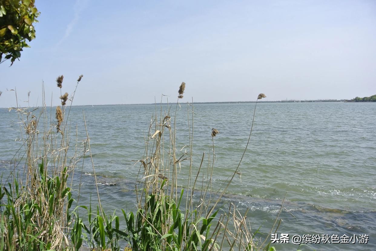 上海免门票景点一览表,上海免门票十大必游景点