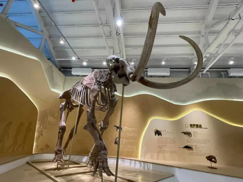 莱芜冬天近郊游一日游,周边游亲子游一日游莱芜