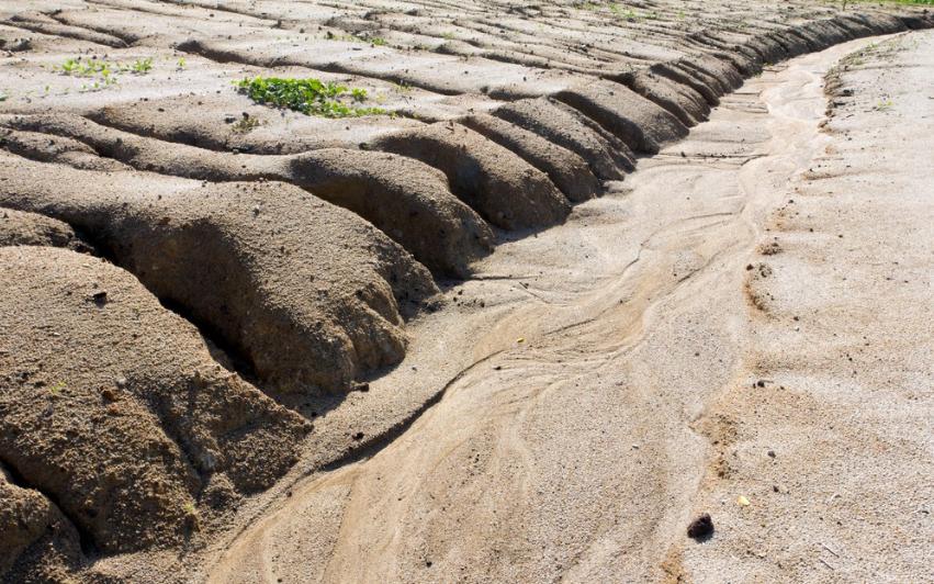 土壤侵蚀：它削弱了地球的生命力和抵抗力，你能做些什么？