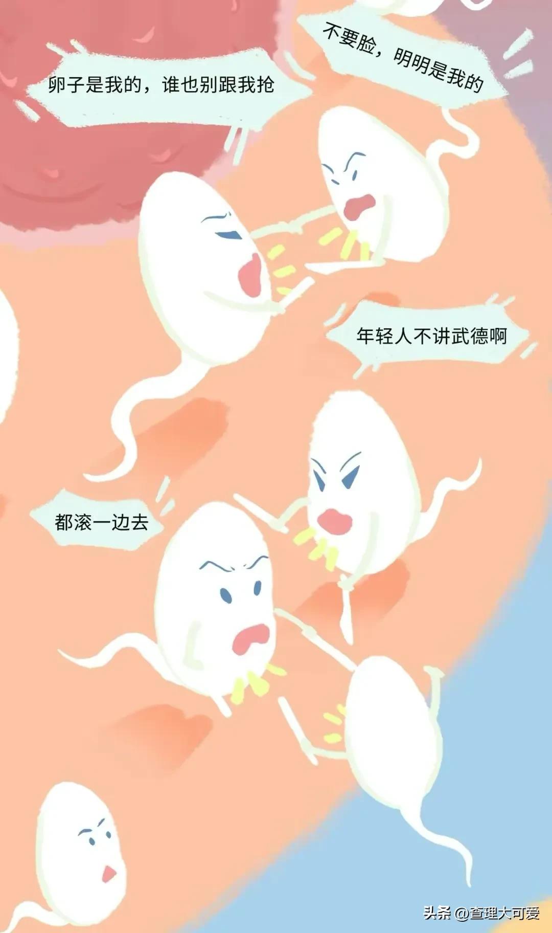 小蝌蚪找妈妈故事完整漫画,小蝌蚪漫画