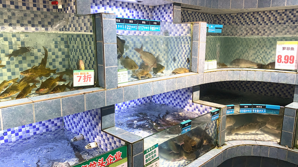 提醒这4种鱼尽量少吃,这4种鱼尽量少吃最好不吃