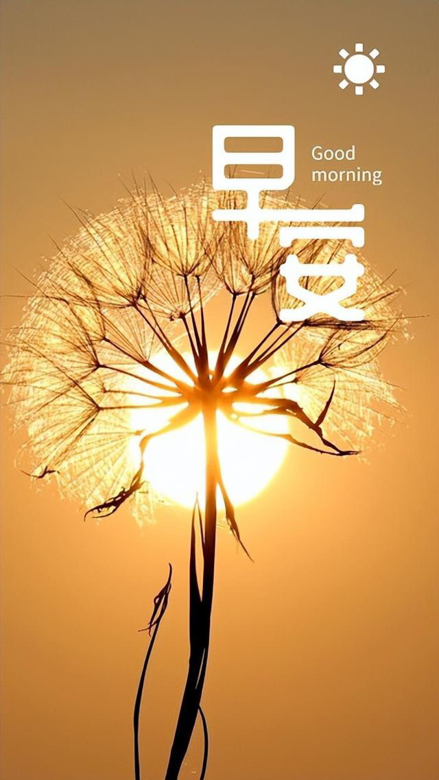 每日早安经典语录短句,今日早安语录正能量短句带日历