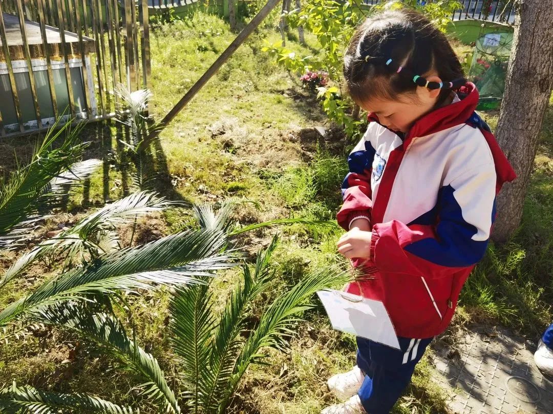 洪雅县第四幼儿园叫什么名字,洪雅第四幼儿园在哪里