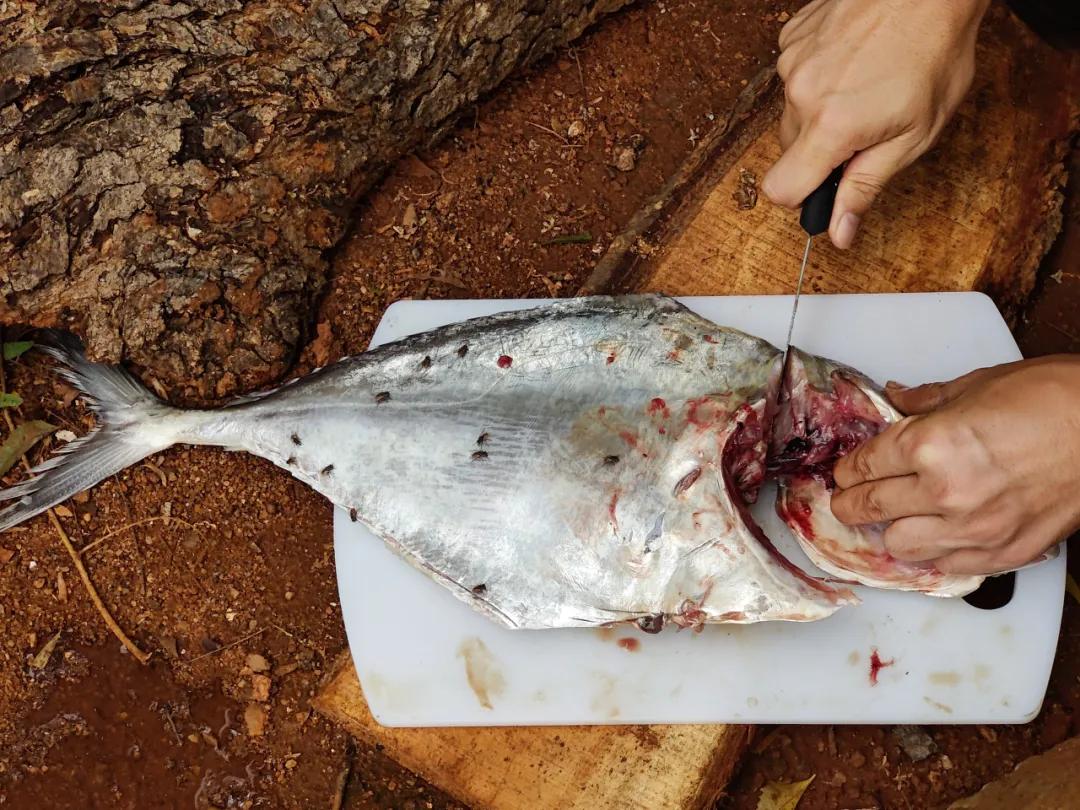 集中营六记,集中营逃亡7年