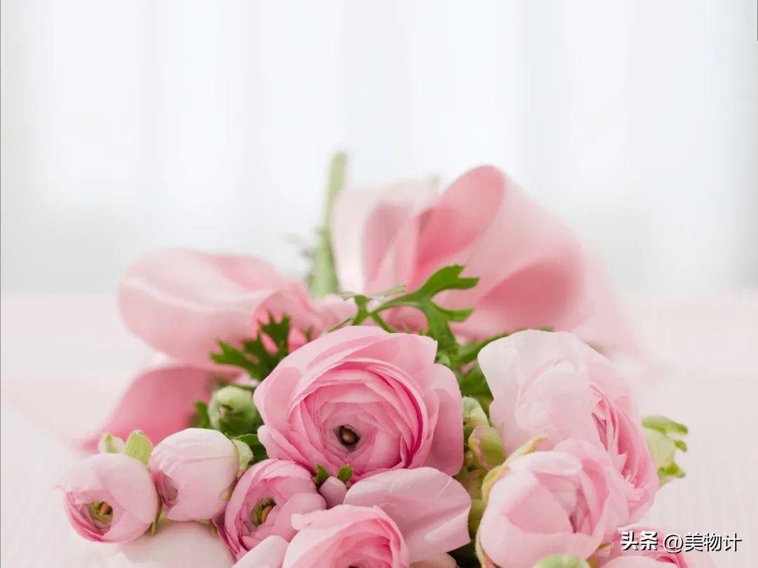 好的人生需要三句话,最好的人生需要这样的配置