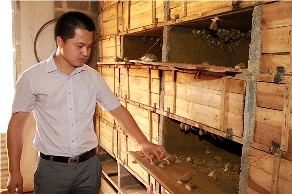 蜗牛可以做花肥吗,蜗牛做美容产品