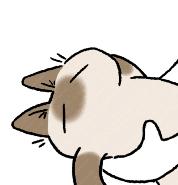 5月医疗险,近期最好的医疗险