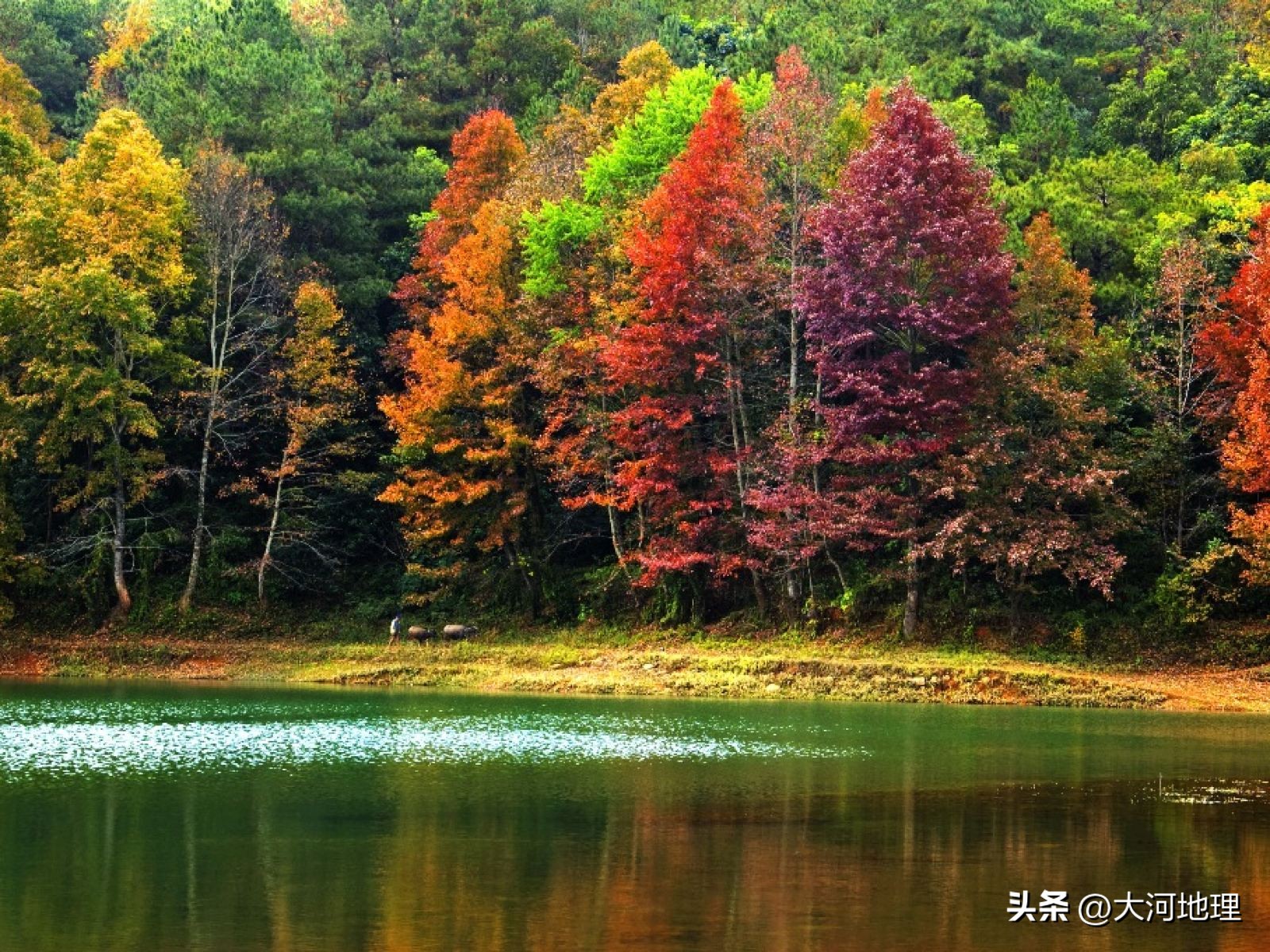 旅游攻略国内十大必去景点南方,中国南方著名景点