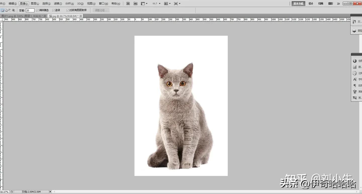 photoshop第一课魔棒工具,ps入门基础教学套索工具