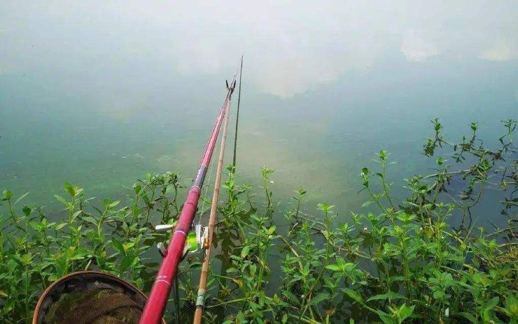 春季野钓口诀读懂不愁钓不到鱼,春季作钓方式有哪几种