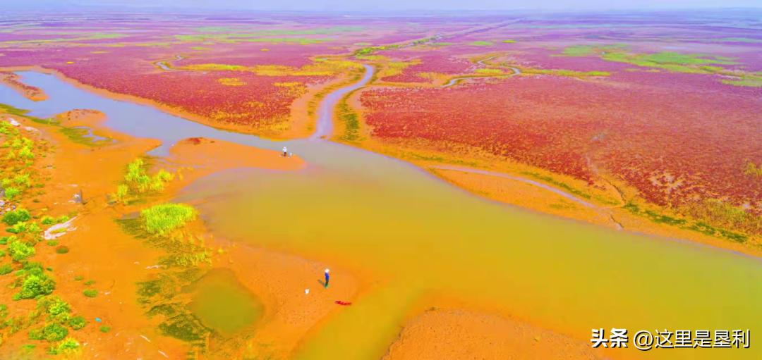 山东9个5a免费景区名单2020,山东免费4a景点排名一览表