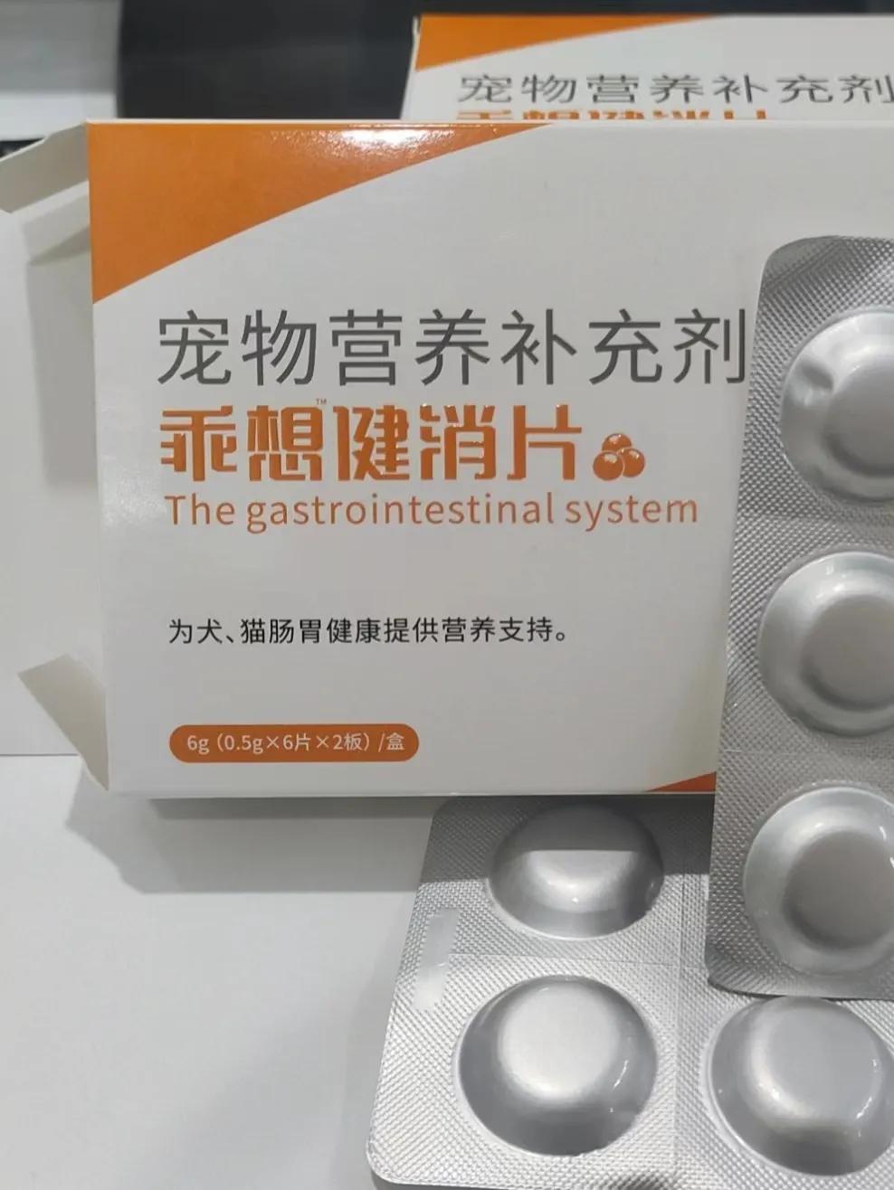 比熊能不能吃太饱,比熊暴饮暴食