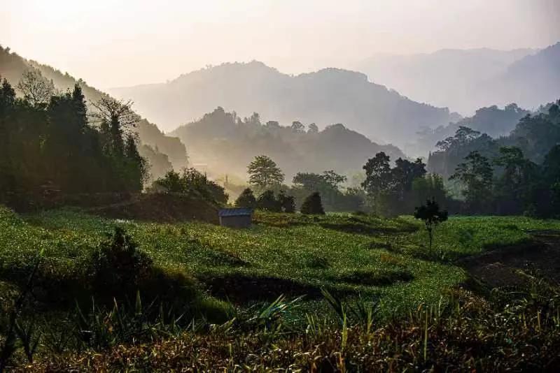 投资理财最好的机会,投资理财中活得好才是王道