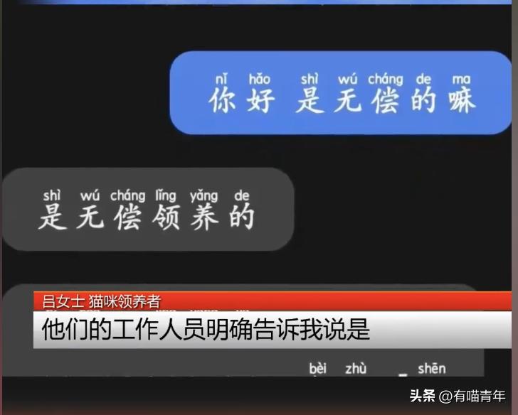 免费领养一只品种猫，猫死后强行要我买猫粮，赔3000