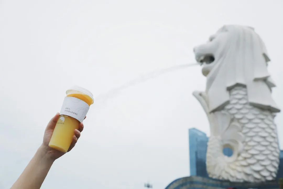 开一个奶茶加盟店10大品牌,哪家奶茶品牌加盟费低点