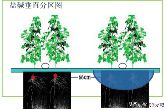 干播湿出的要求,干播湿出后要中耕几次