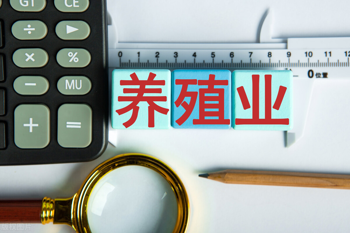 未来10大农村暴利种植,农村致富种养技术有哪些