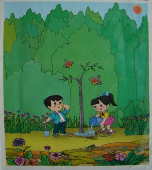 一年级100篇看图写话完整版的图片,一年级看图写话海边捡贝壳100字