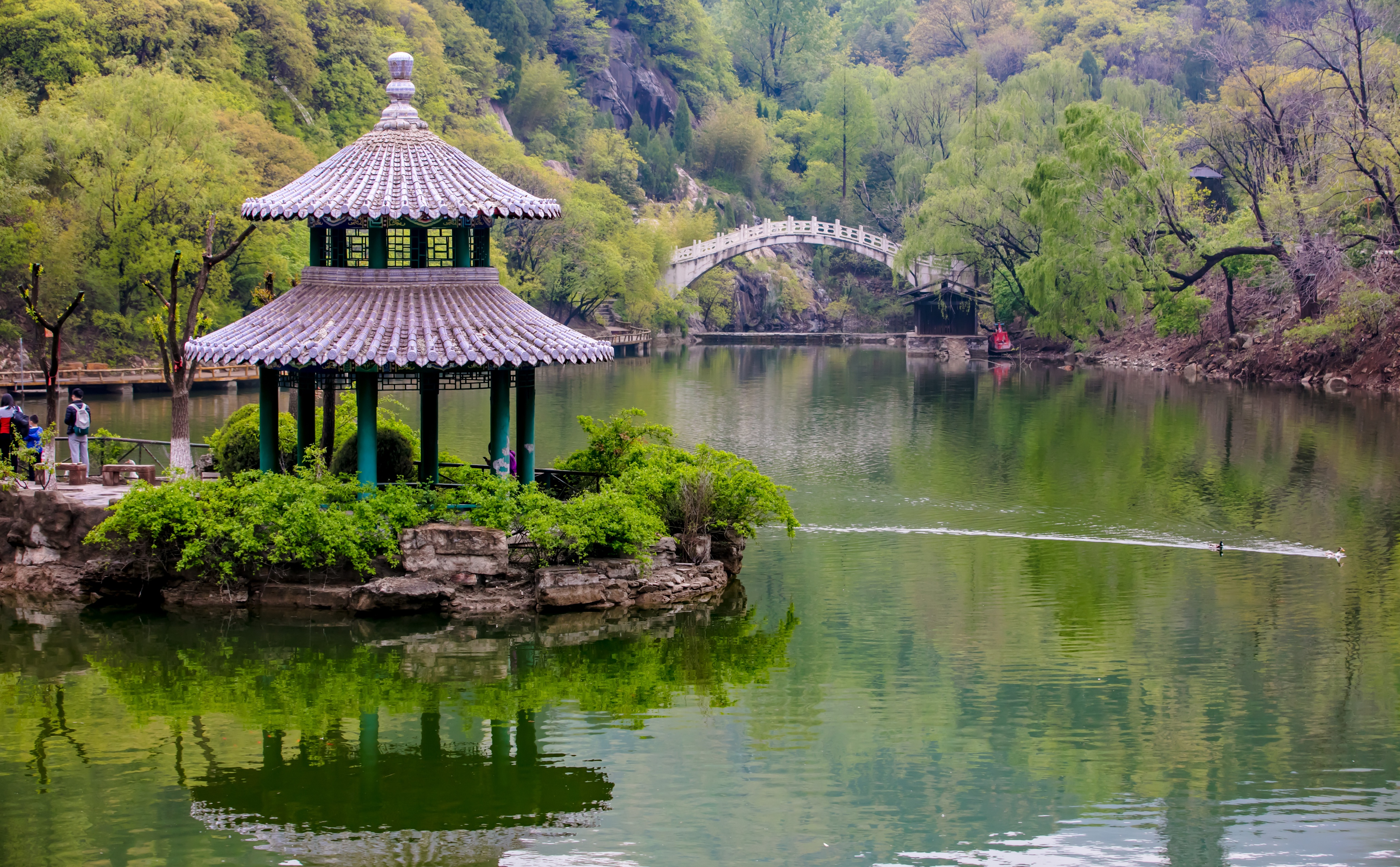 济南历城区红叶谷景区门票团购,济南红叶谷景区免费时间