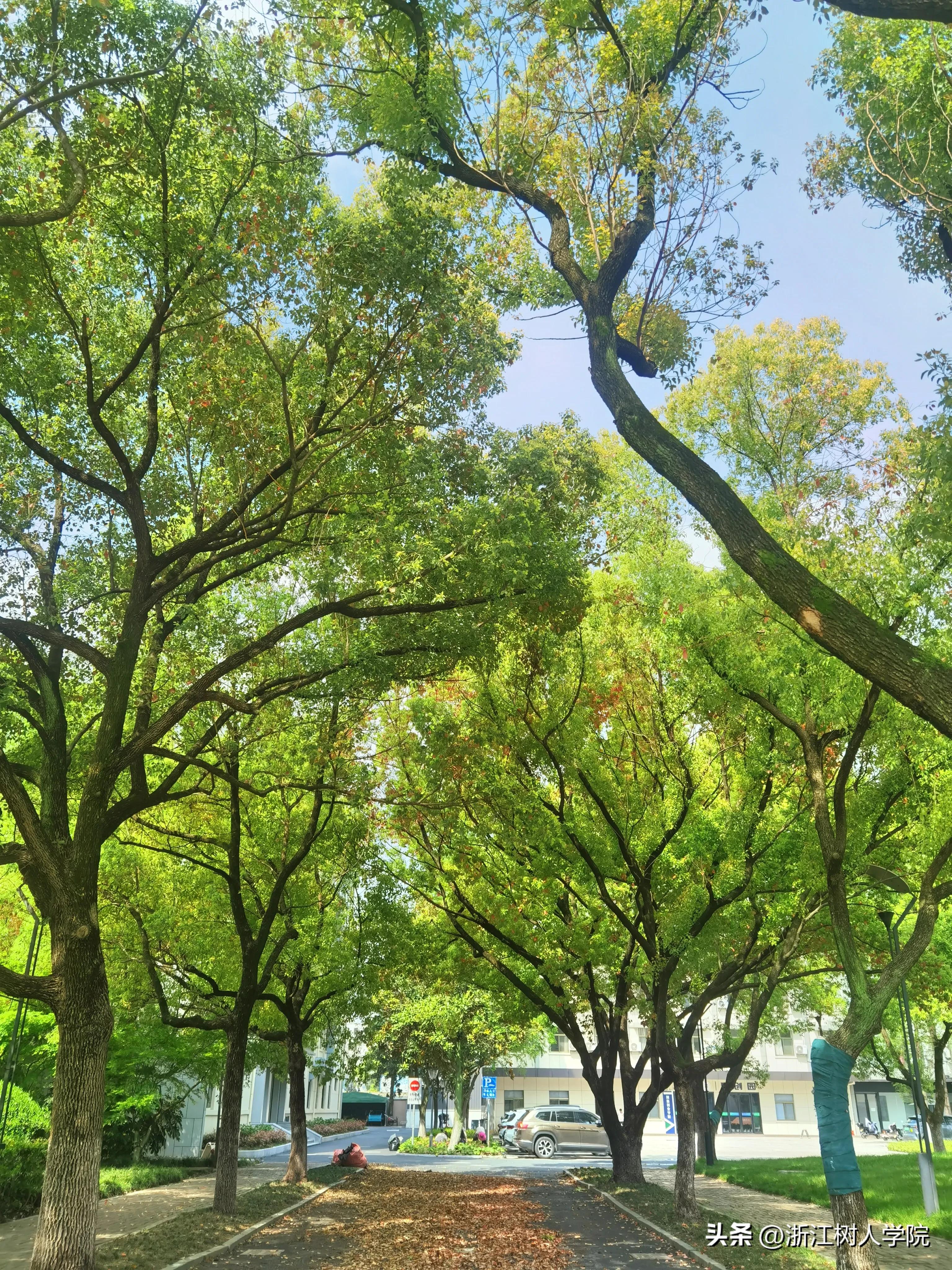 欢迎报考浙江师范大学行知学院,欢迎报考杭州师大