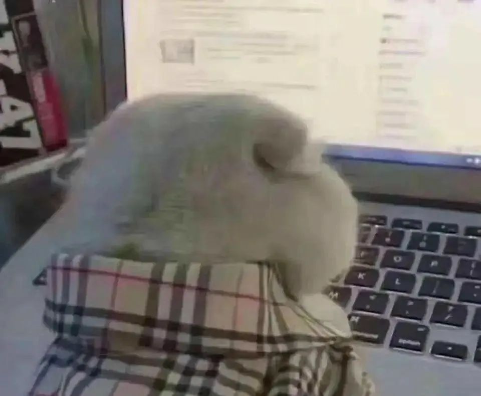 一上班就想睡觉怎么办,一上课就睡觉怎么回事