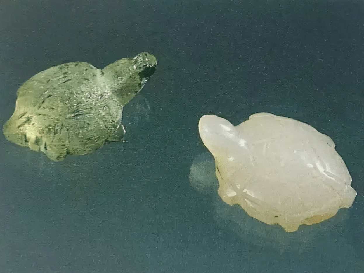 无瑕胜玉美至洁过冰清的意思,无瑕胜玉美