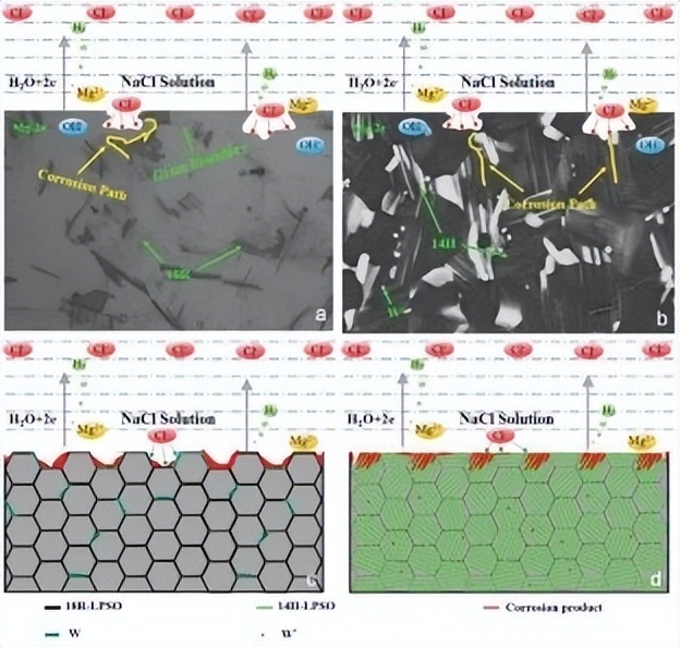 锌合金的耐腐蚀性能,锌合金和锌镁合金耐腐蚀对比