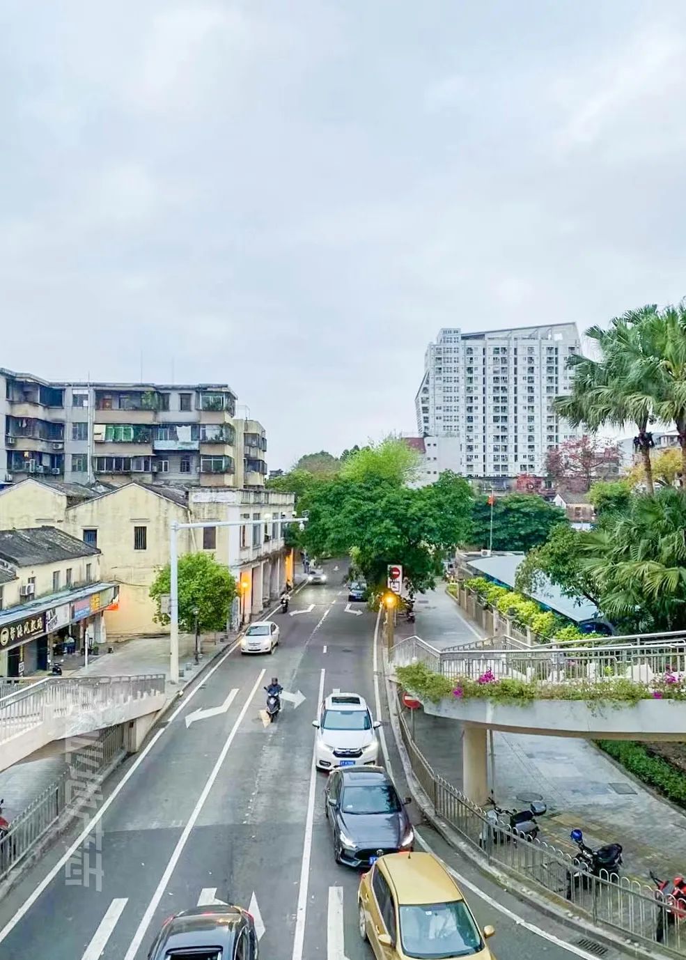 9个月交出一份湾区生活提案，这座万象汇诠释了新时代「中山慢」