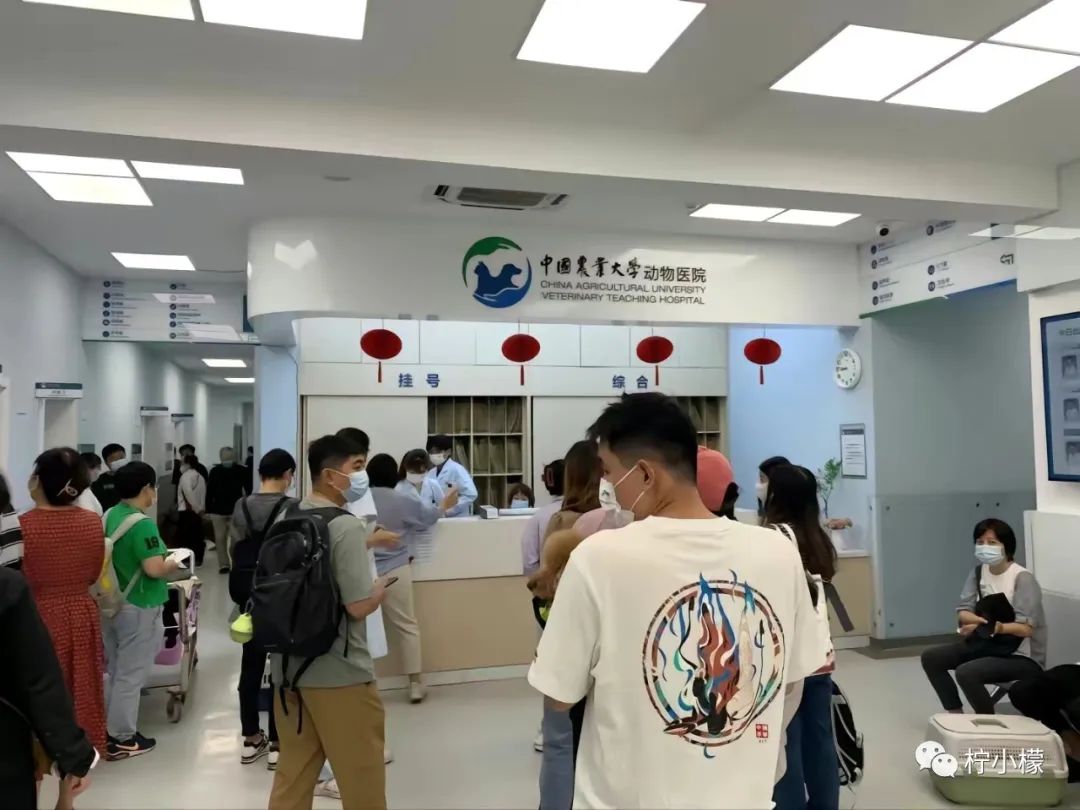 向女神表白最尴尬的事 (发消息向女神表白很久才回复)