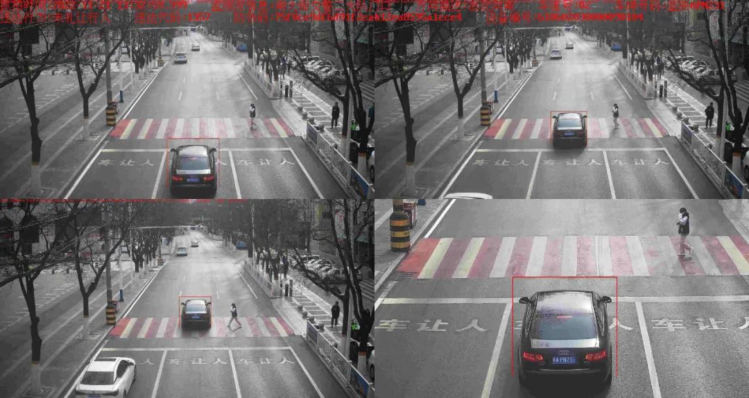 百日行动交警违法曝光,百日安全行动违规车辆