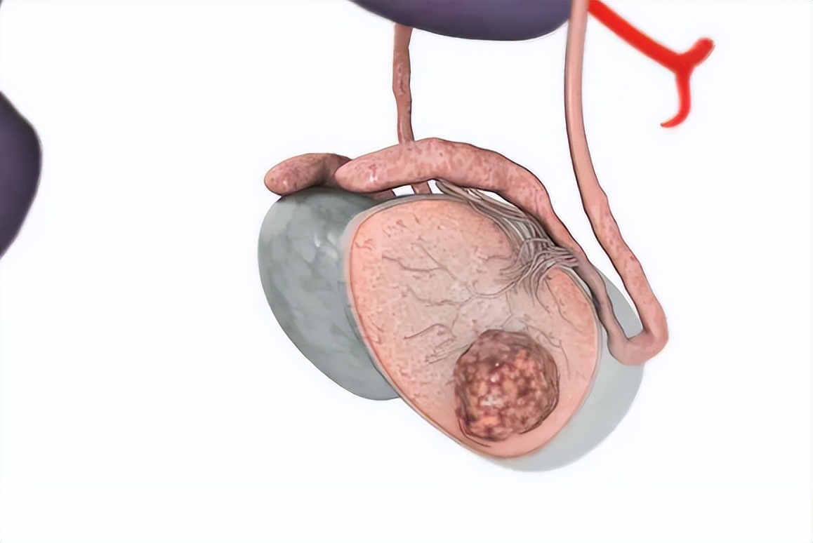 夫妻房事时，坚持多长时间算正常？多久一次对身体好？了解一下