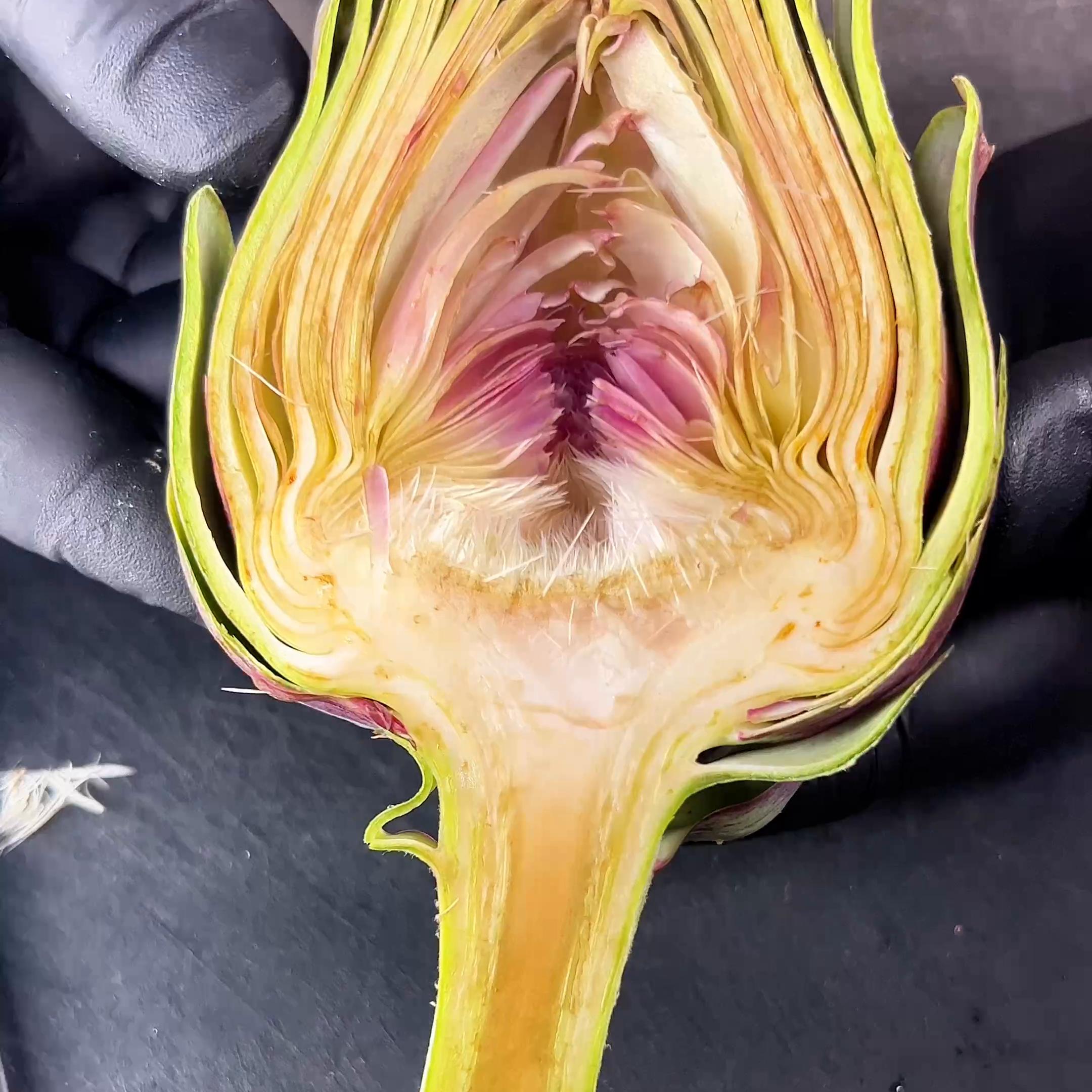 一朵高冷的法国百合，又有多少人尝过她的味道，#西餐