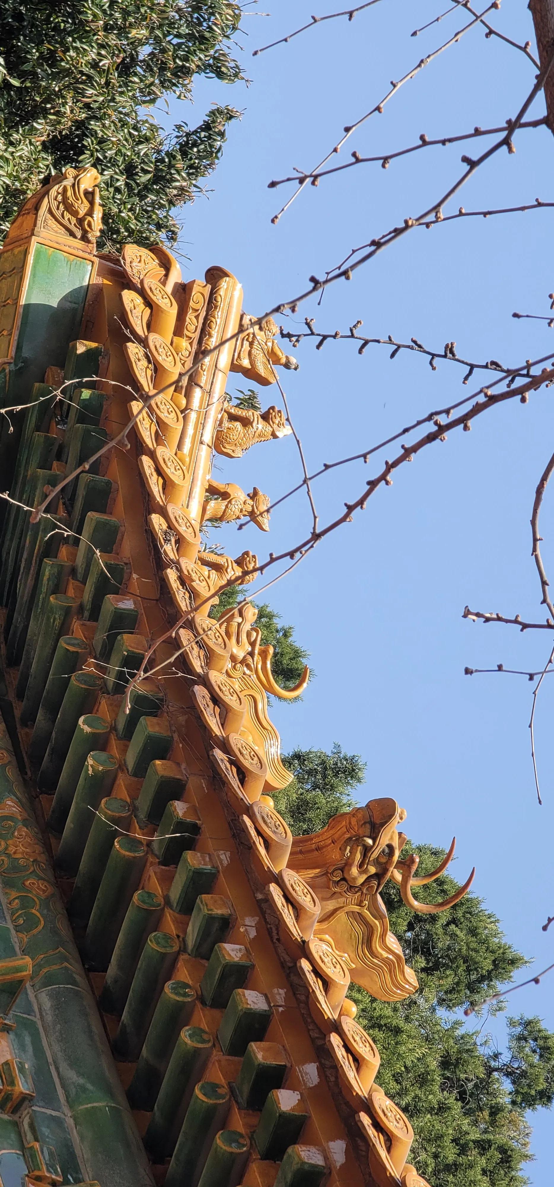 开着沪牌回老家怎么样,开着大巴玩转江浙沪