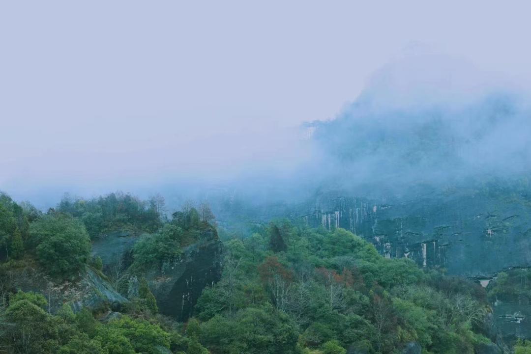 武夷岩茶正岩山场土质怎么样,山场正岩