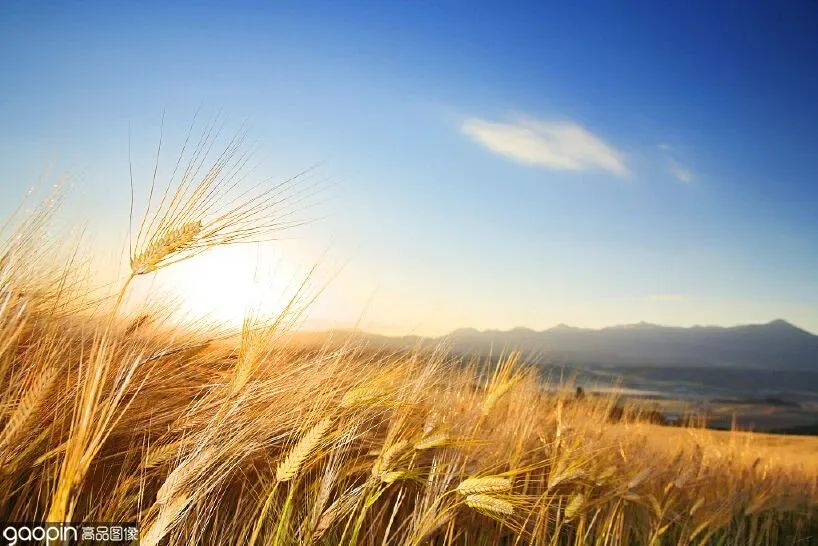 夏季清凉素材,夏日清凉的素材