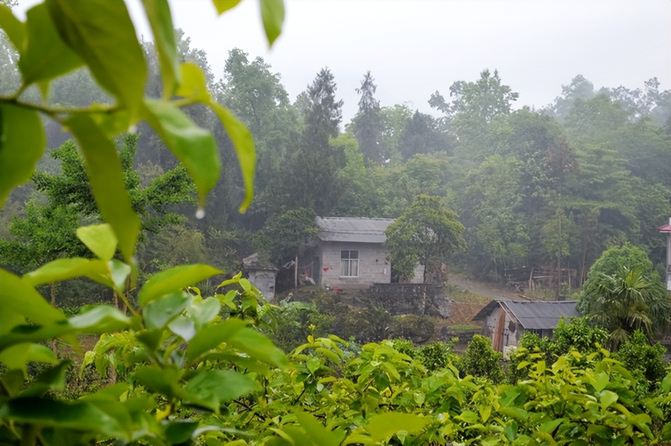 宣恩一座小城,湖北宣恩美丽的小城