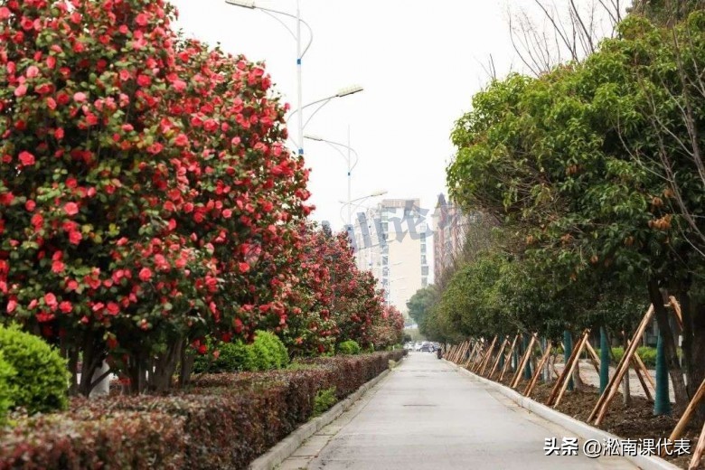 我们的青春能有多长,我们的青春还能等到一个易建联吗