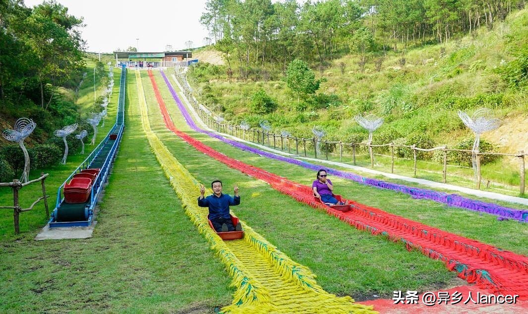 家庭农场：是否能成为乡村致富的新风口？