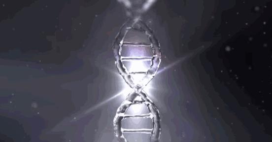 雅诗兰黛第二代粉水适合什么皮肤,雅诗兰黛大粉水适合哪个年龄段