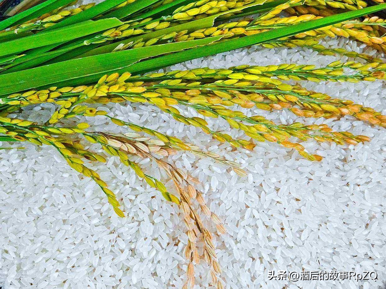 这几种食物别傻傻的扔了,家里有这种食物一定要扔掉