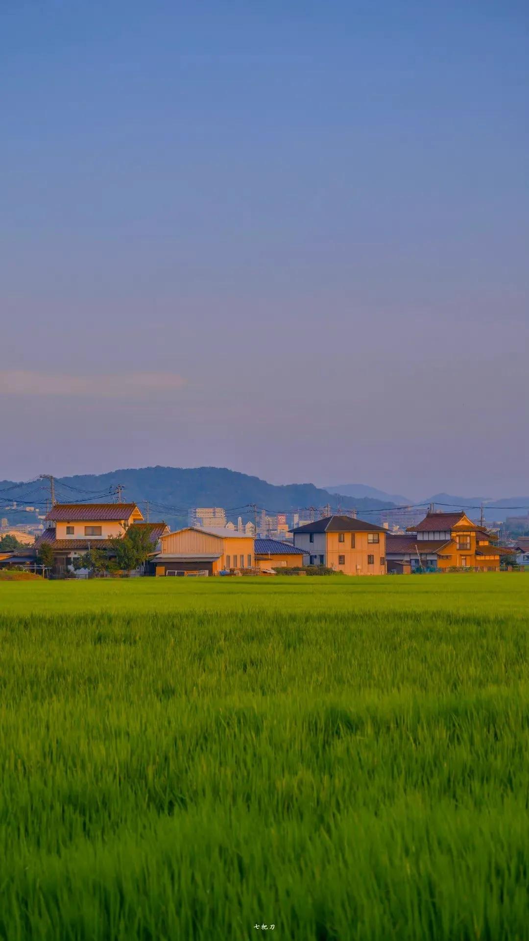 “黄昏来了,一切角隅皆为黄昏占领了”那些宝藏句子