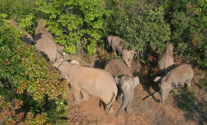 茶语春秋中国茶文化讲了什么,茶话春秋