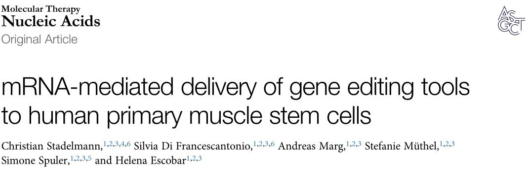 肌肉基因编辑,基因治疗与干细胞