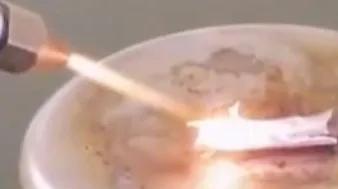 舍利子到底是什么东西演变而成的,从科学角度解释舍利子究竟是什么