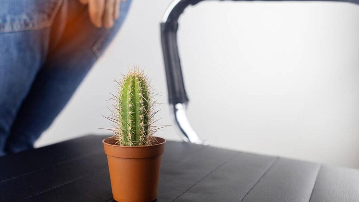 为什么屁股中间也会长“毛”？若是刮掉会怎样？网友：涨知识了