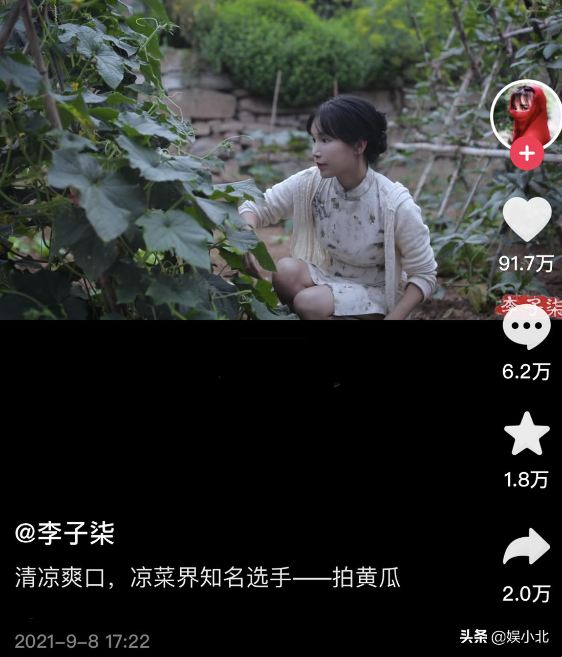 李子柒停更之后再更新还能成功吗,李子柒17年停更声明原文