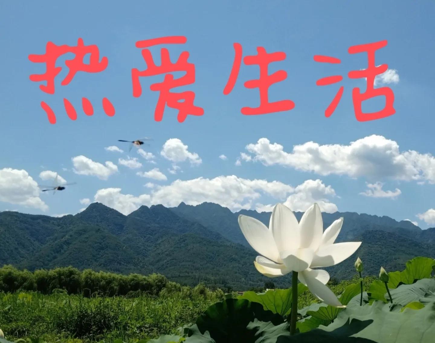 情趣性长篇小说《热爱生活》