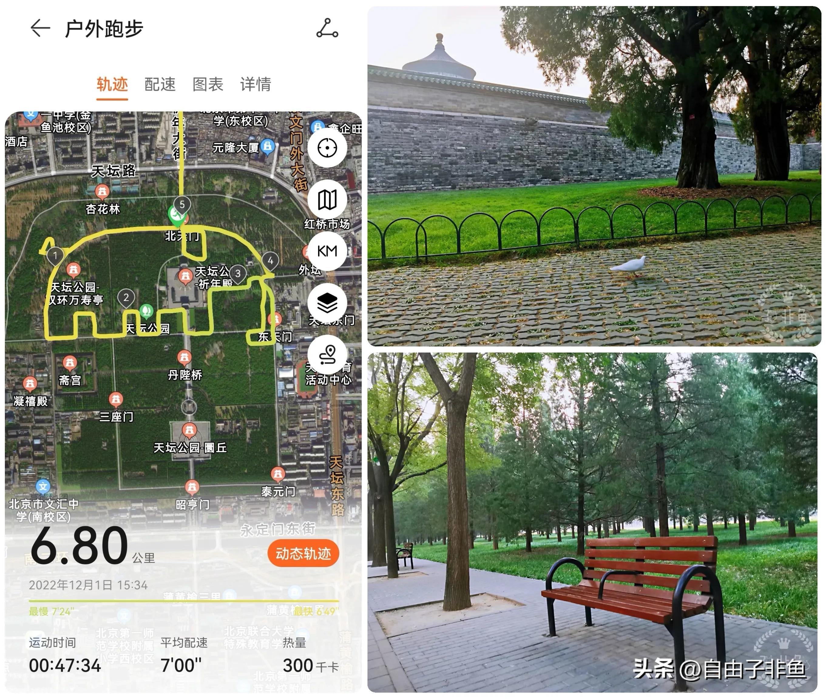 北京植物园跑步路线,北京适合跑步的地方