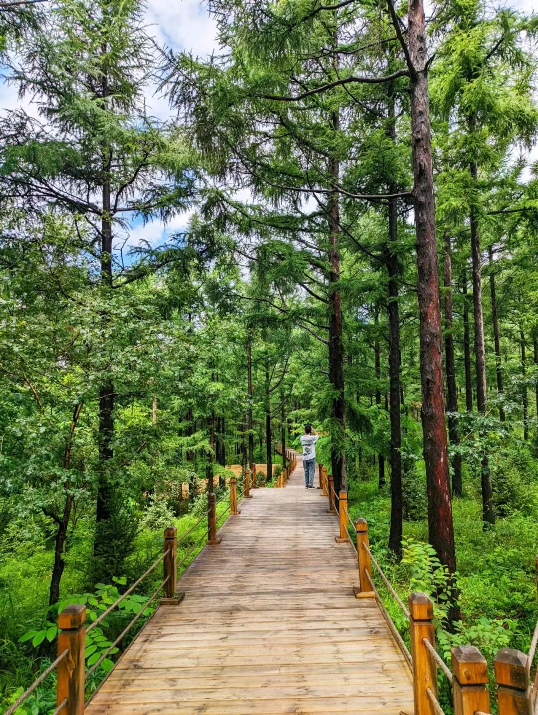 夏幽·嗨玩|全部免费！莲花山徒步宝藏地推荐！