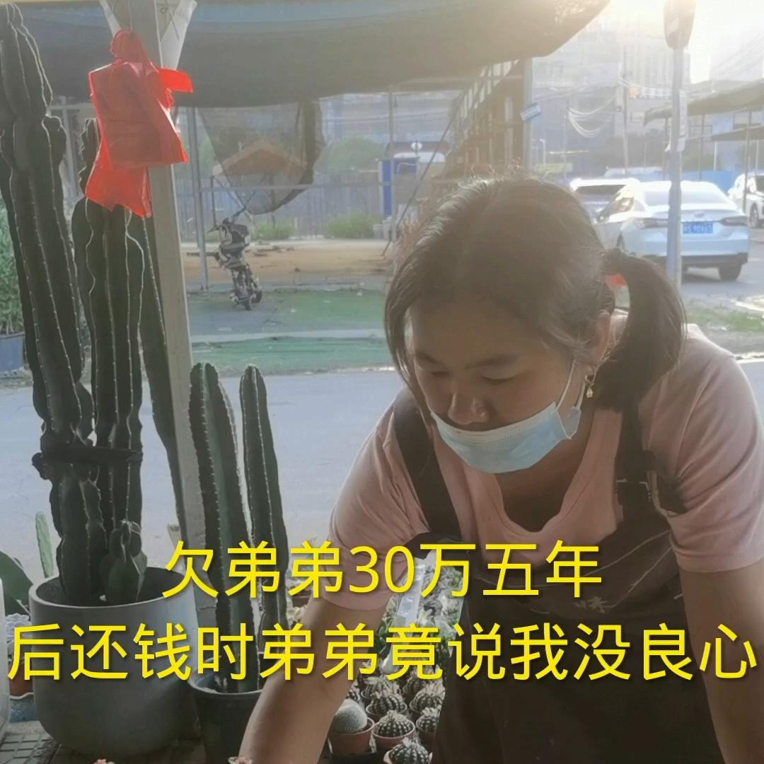 弟弟欠了30万巨款,欠弟弟20万